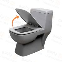 توالت فرنگی گاتریا مدل ساترون طوسی