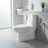 توالت فرنگی چینی کرد مدل طاووس Tavoos