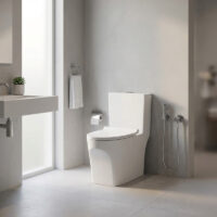 توالت فرنگی منوبلاک چینی کرد مدل لیندا