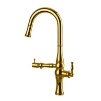 نگین طلایی دومنظوره شاوری