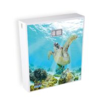 فلاش تانک نیاز مدل لاک پشت